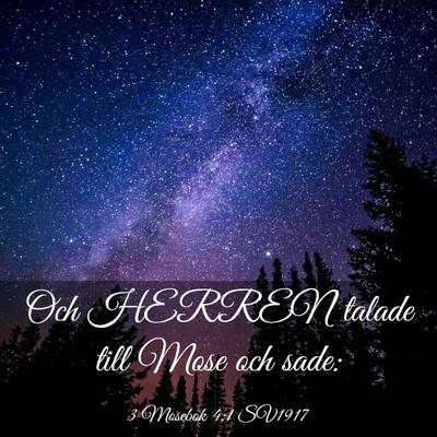 Picture 03 - 3 Mosebok 4:1 SV1917 - Och HERREN talade till Mose och - Bible Verse Picture