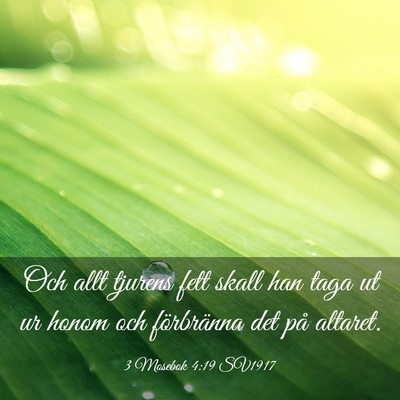 Picture 03 - 3 Mosebok 4:19 SV1917 - Och allt tjurens fett skall han taga ut ur honom - Bible Verse Picture