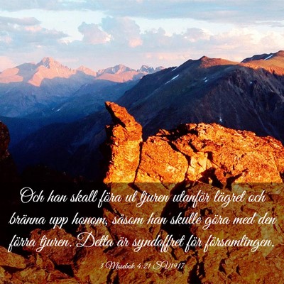 Picture 03 - 3 Mosebok 4:21 SV1917 - Och han skall föra ut tjuren utanför lägret - Bible Verse Picture