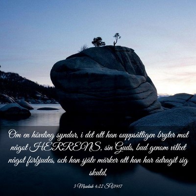 Picture 03 - 3 Mosebok 4:22 SV1917 - Om en hövding syndar, i det att han - Bible Verse Picture
