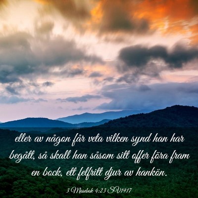 Picture 03 - 3 Mosebok 4:23 SV1917 - eller av någon får veta vilken synd han har - Bible Verse Picture
