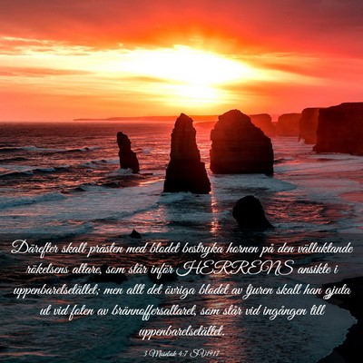 Picture 03 - 3 Mosebok 4:7 SV1917 - Därefter skall prästen med blodet bestryka - Bible Verse Picture