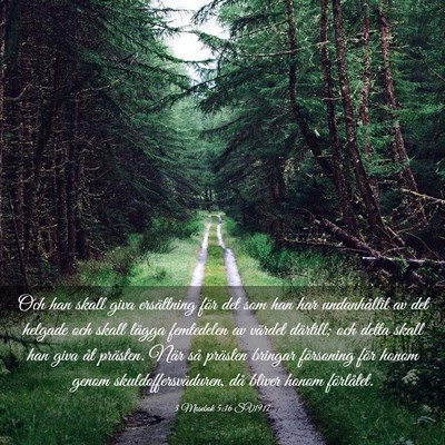 Picture 03 - 3 Mosebok 5:16 SV1917 - Och han skall giva ersättning för det som han - Bible Verse Picture