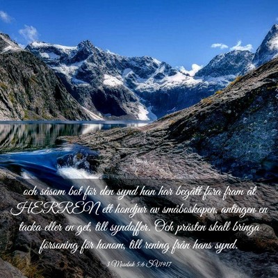 Picture 03 - 3 Mosebok 5:6 SV1917 - och såsom bot för den synd han har begått - Bible Verse Picture