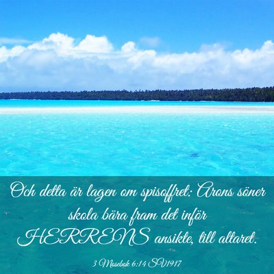 Picture 03 - 3 Mosebok 6:14 SV1917 - Och detta är lagen om spisoffret: Arons söner - Bible Verse Picture