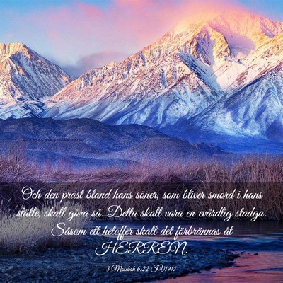 Picture 03 - 3 Mosebok 6:22 SV1917 - Och den präst bland hans söner, som bliver - Bible Verse Picture