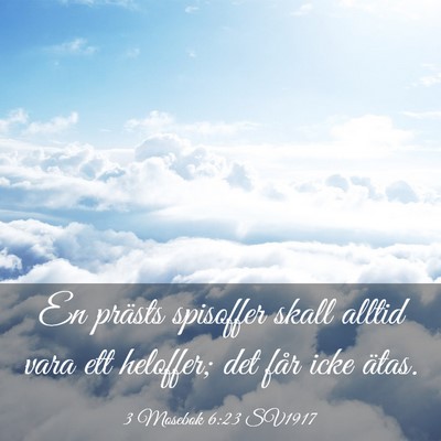 Picture 03 - 3 Mosebok 6:23 SV1917 - En prästs spisoffer skall alltid vara ett - Bible Verse Picture