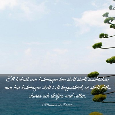 Picture 03 - 3 Mosebok 6:28 SV1917 - Ett lerkärl vari kokningen har skett skall - Bible Verse Picture