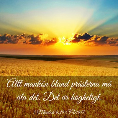 Picture 03 - 3 Mosebok 6:29 SV1917 - Allt mankön bland prästerna må äta det. Det - Bible Verse Picture