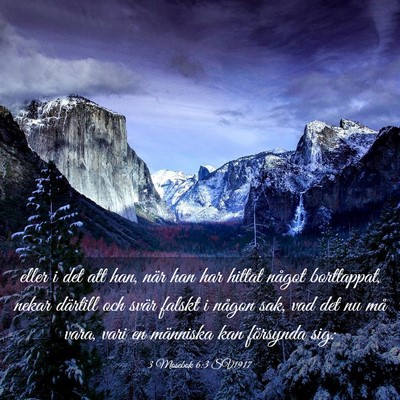 Picture 03 - 3 Mosebok 6:3 SV1917 - eller i det att han, när han har hittat något - Bible Verse Picture