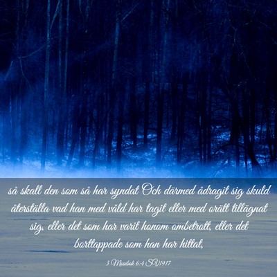 Picture 03 - 3 Mosebok 6:4 SV1917 - så skall den som så har syndat Och därmed - Bible Verse Picture