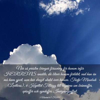 Picture 03 - 3 Mosebok 6:7 SV1917 - När så prästen bringar försoning för honom - Bible Verse Picture