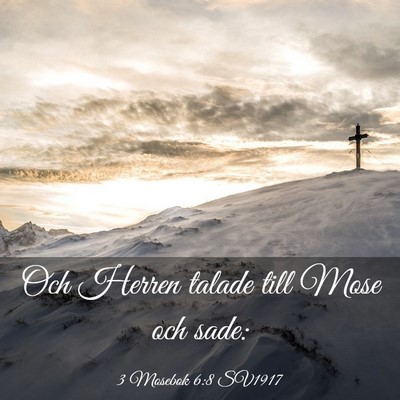 Picture 03 - 3 Mosebok 6:8 SV1917 - Och Herren talade till Mose och - Bible Verse Picture
