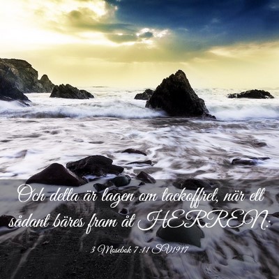Picture 03 - 3 Mosebok 7:11 SV1917 - Och detta är lagen om tackoffret, när ett - Bible Verse Picture