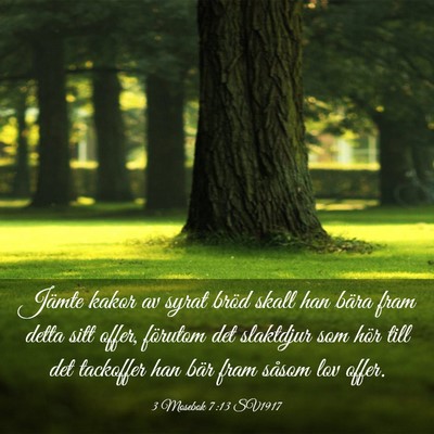 Picture 03 - 3 Mosebok 7:13 SV1917 - Jämte kakor av syrat bröd skall han bära fram - Bible Verse Picture