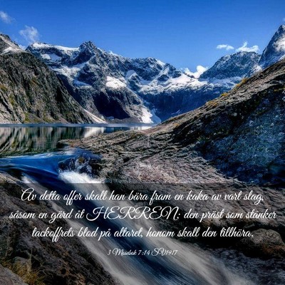 Picture 03 - 3 Mosebok 7:14 SV1917 - Av detta offer skall han bära fram en kaka av - Bible Verse Picture