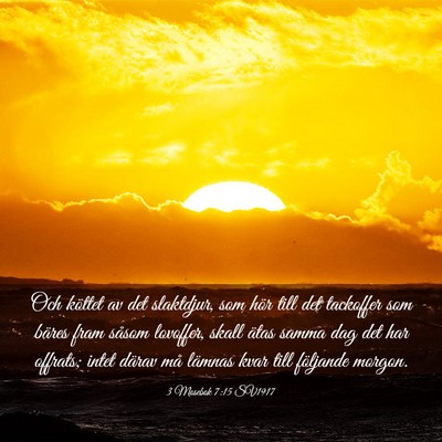 Picture 03 - 3 Mosebok 7:15 SV1917 - Och köttet av det slaktdjur, som hör till det - Bible Verse Picture