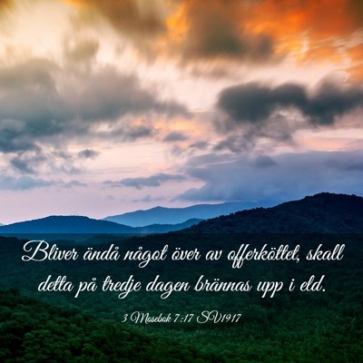 Picture 03 - 3 Mosebok 7:17 SV1917 - Bliver ändå något över av offerköttet, skall - Bible Verse Picture