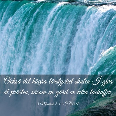 Picture 03 - 3 Mosebok 7:32 SV1917 - Också det högra lårstycket skolen I giva åt - Bible Verse Picture