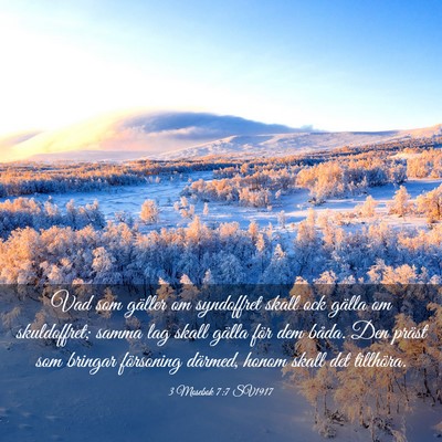 Picture 03 - 3 Mosebok 7:7 SV1917 - Vad som gäller om syndoffret skall ock gälla om - Bible Verse Picture