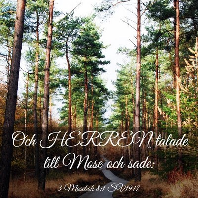 Picture 03 - 3 Mosebok 8:1 SV1917 - Och HERREN talade till Mose och - Bible Verse Picture
