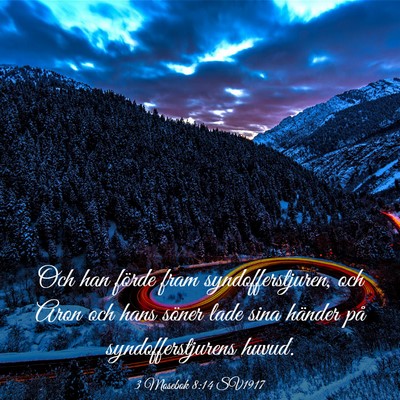 Picture 03 - 3 Mosebok 8:14 SV1917 - Och han förde fram syndofferstjuren, och Aron - Bible Verse Picture