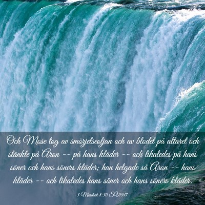 Picture 03 - 3 Mosebok 8:30 SV1917 - Och Mose tog av smörjelseoljan och av blodet på - Bible Verse Picture