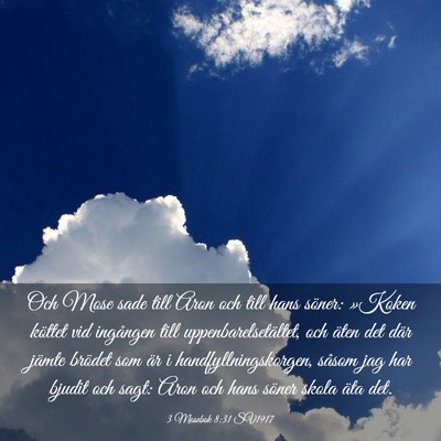 Picture 03 - 3 Mosebok 8:31 SV1917 - Och Mose sade till Aron och till hans söner: - Bible Verse Picture