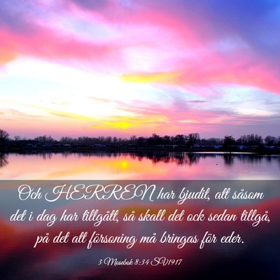 Picture 03 - 3 Mosebok 8:34 SV1917 - Och HERREN har bjudit, att såsom det i dag har - Bible Verse Picture