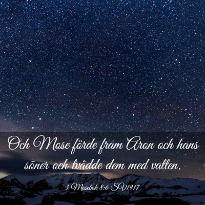 Picture 03 - 3 Mosebok 8:6 SV1917 - Och Mose förde fram Aron och hans söner och - Bible Verse Picture