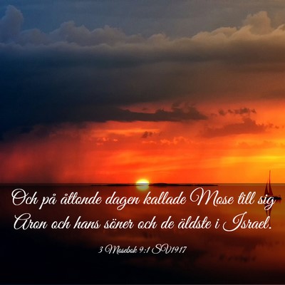 Picture 03 - 3 Mosebok 9:1 SV1917 - Och på åttonde dagen kallade Mose till sig Aron - Bible Verse Picture