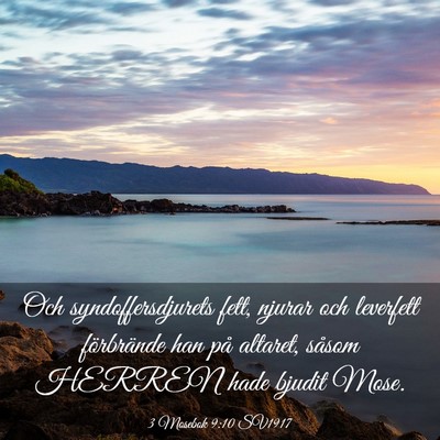 Picture 03 - 3 Mosebok 9:10 SV1917 - Och syndoffersdjurets fett, njurar och leverfett - Bible Verse Picture