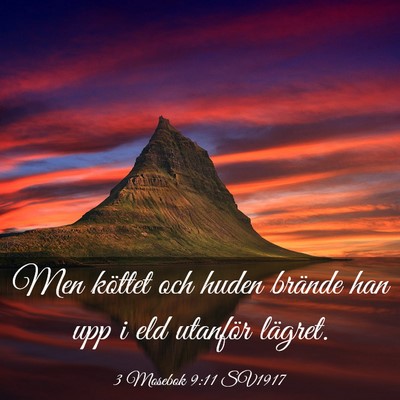 Picture 03 - 3 Mosebok 9:11 SV1917 - Men köttet och huden brände han upp i eld - Bible Verse Picture