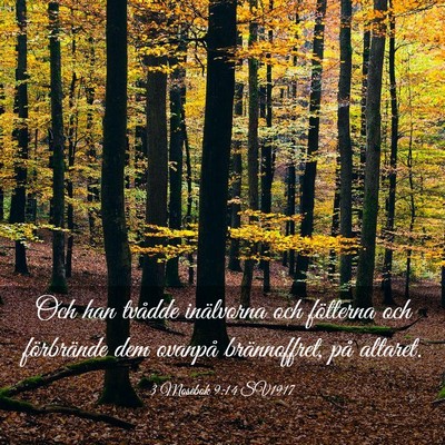 Picture 03 - 3 Mosebok 9:14 SV1917 - Och han tvådde inälvorna och fötterna och - Bible Verse Picture