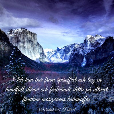Picture 03 - 3 Mosebok 9:17 SV1917 - Och han bar fram spisoffret och tog en handfull - Bible Verse Picture