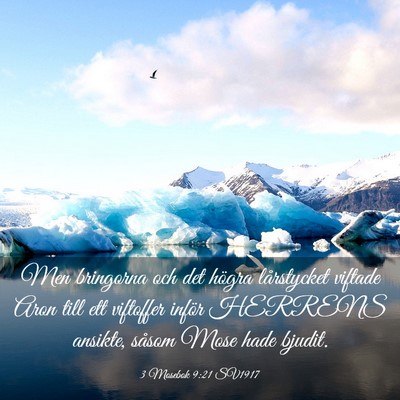 Picture 03 - 3 Mosebok 9:21 SV1917 - Men bringorna och det högra lårstycket viftade - Bible Verse Picture