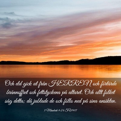 Picture 03 - 3 Mosebok 9:24 SV1917 - Och eld gick ut från HERREN och förtärde - Bible Verse Picture