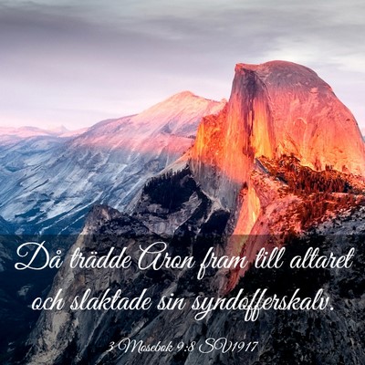 Picture 03 - 3 Mosebok 9:8 SV1917 - Då trädde Aron fram till altaret och slaktade - Bible Verse Picture