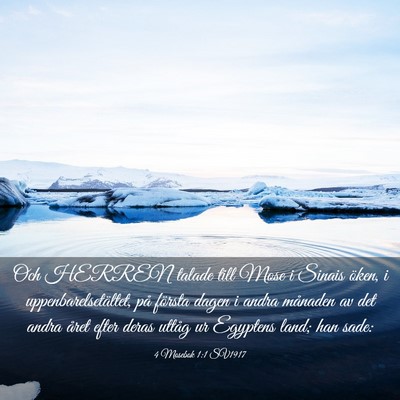 Picture 03 - 4 Mosebok 1:1 SV1917 - Och HERREN talade till Mose i Sinais öken, i - Bible Verse Picture