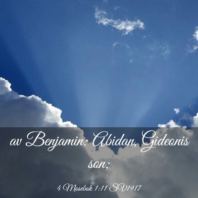 Picture 03 - 4 Mosebok 1:11 SV1917 - av Benjamin: Abidan, Gideonis - Bible Verse Picture