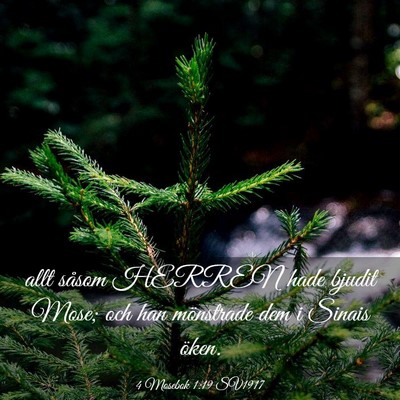 Picture 03 - 4 Mosebok 1:19 SV1917 - allt såsom HERREN hade bjudit Mose; och han - Bible Verse Picture