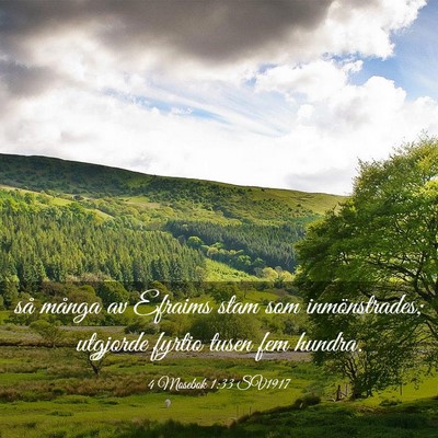 Picture 03 - 4 Mosebok 1:33 SV1917 - så många av Efraims stam som inmönstrades; - Bible Verse Picture