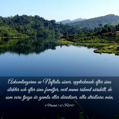 Picture 03 - 4 Mosebok 1:42 SV1917 - Avkomlingarna av Naftalis söner, upptecknade - Bible Verse Picture
