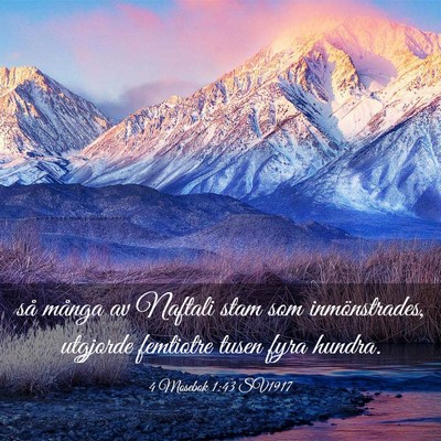 Picture 03 - 4 Mosebok 1:43 SV1917 - så många av Naftali stam som inmönstrades, - Bible Verse Picture