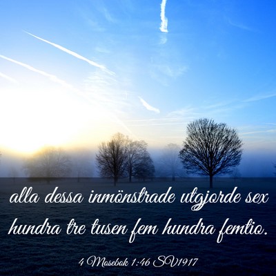 Picture 03 - 4 Mosebok 1:46 SV1917 - alla dessa inmönstrade utgjorde sex hundra tre - Bible Verse Picture