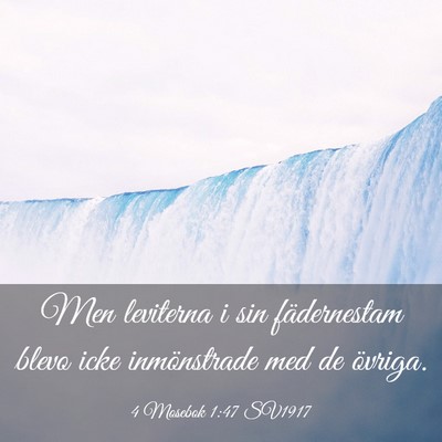 Picture 03 - 4 Mosebok 1:47 SV1917 - Men leviterna i sin fädernestam blevo icke - Bible Verse Picture