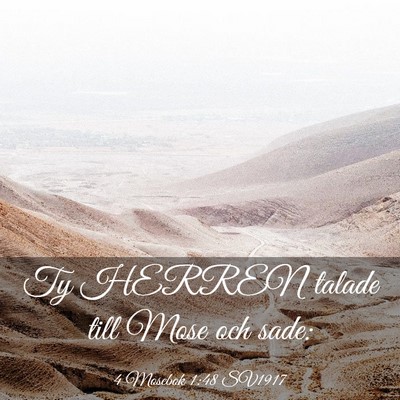 Picture 03 - 4 Mosebok 1:48 SV1917 - Ty HERREN talade till Mose och - Bible Verse Picture