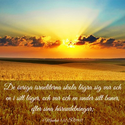 Picture 03 - 4 Mosebok 1:52 SV1917 - De övriga israeliterna skola lägra sig var och - Bible Verse Picture