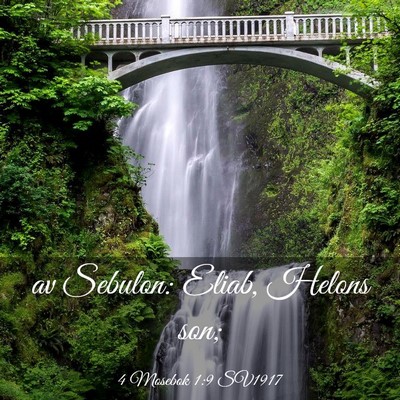 Picture 03 - 4 Mosebok 1:9 SV1917 - av Sebulon: Eliab, Helons - Bible Verse Picture