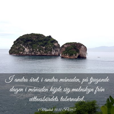 Picture 03 - 4 Mosebok 10:11 SV1917 - I andra året, i andra månaden, på tjugonde - Bible Verse Picture